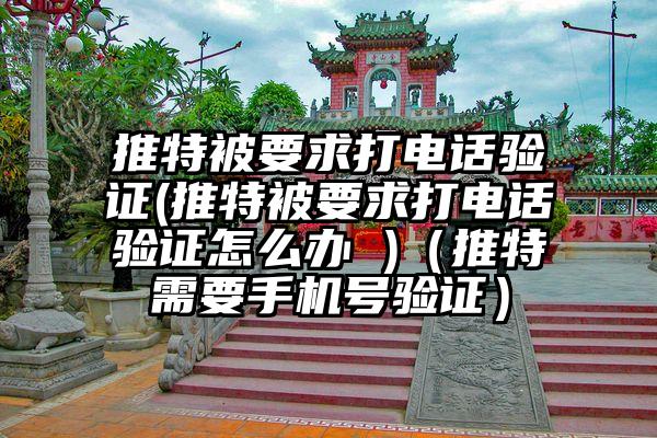 推特被要求打电话验证(推特被要求打电话验证怎么办 )（推特需要手机号验证）