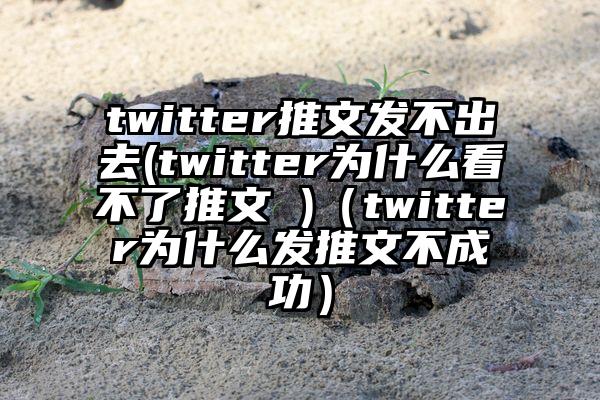 twitter推文发不出去(twitter为什么看不了推文 )（twitter为什么发推文不成功）