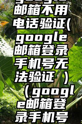 如何注册google邮箱不用电话验证(google邮箱登录手机号无法验证 )（google邮箱登录手机号无法验证）