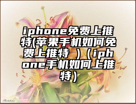 iphone免费上推特(苹果手机如何免费上推特 )（iphone手机如何上推特）