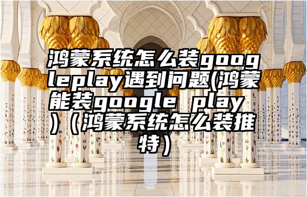 鸿蒙系统怎么装googleplay遇到问题(鸿蒙能装google play )（鸿蒙系统怎么装推特）