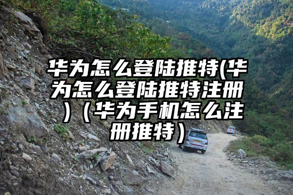 华为怎么登陆推特(华为怎么登陆推特注册 )（华为手机怎么注册推特）