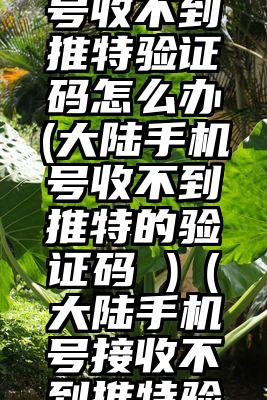 国内手机号收不到推特验证码怎么办(大陆手机号收不到推特的验证码 )（大陆手机号接收不到推特验证码）