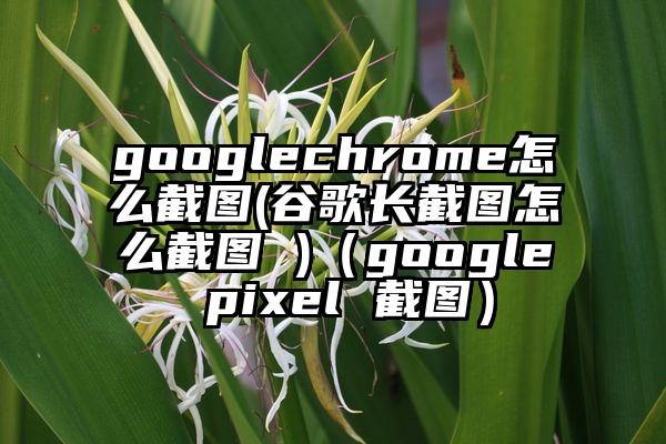 googlechrome怎么截图(谷歌长截图怎么截图 )（google pixel 截图）