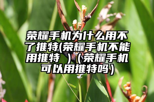 荣耀手机为什么用不了推特(荣耀手机不能用推特 )（荣耀手机可以用推特吗）