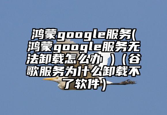 鸿蒙google服务(鸿蒙google服务无法卸载怎么办 )（谷歌服务为什么卸载不了软件）