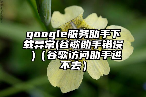 google服务助手下载异常(谷歌助手错误 )（谷歌访问助手进不去）