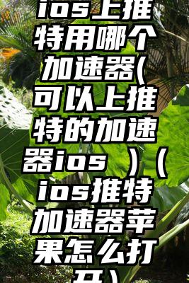 ios上推特用哪个加速器(可以上推特的加速器ios )（ios推特加速器苹果怎么打开）