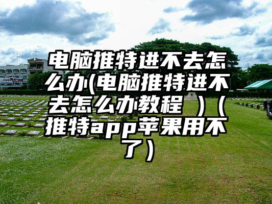 电脑推特进不去怎么办(电脑推特进不去怎么办教程 )（推特app苹果用不了）