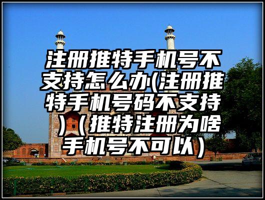注册推特手机号不支持怎么办(注册推特手机号码不支持 )（推特注册为啥手机号不可以）