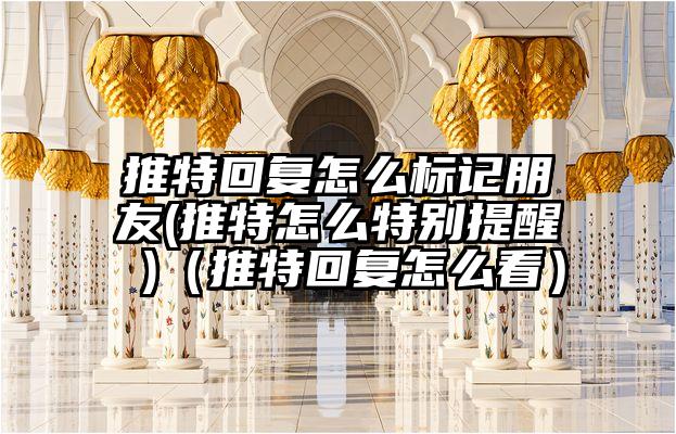 推特回复怎么标记朋友(推特怎么特别提醒 )（推特回复怎么看）