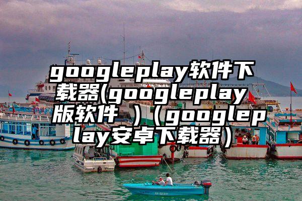 googleplay软件下载器(googleplay版软件 )（googleplay安卓下载器）