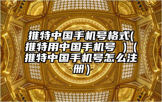 推特中国手机号格式(推特用中国手机号 )（推特中国手机号怎么注册）