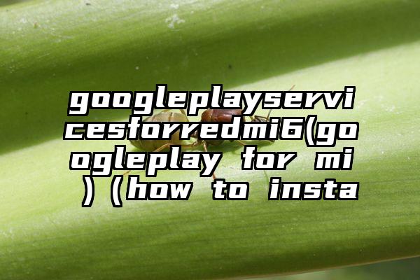 googleplayservicesforredmi6(googleplay for mi )（how to insta