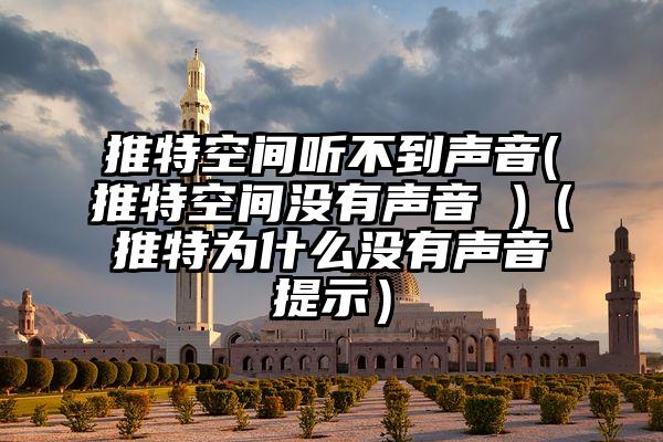 推特空间听不到声音(推特空间没有声音 )（推特为什么没有声音提示）