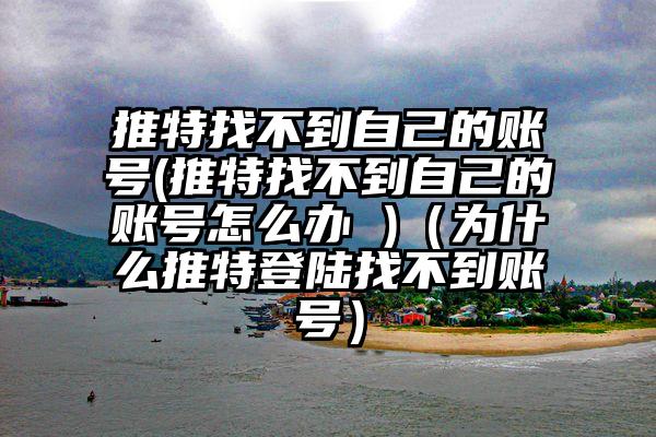 推特找不到自己的账号(推特找不到自己的账号怎么办 )(为什么推特登陆找不到账号)