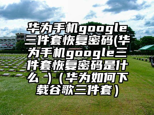 华为手机google三件套恢复密码(华为手机google三件套恢复密码是什么 )（华为如何下载谷歌三件套）