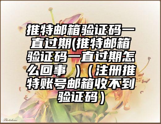 推特邮箱验证码一直过期(推特邮箱验证码一直过期怎么回事 )（注册推特账号邮箱收不到验证码）