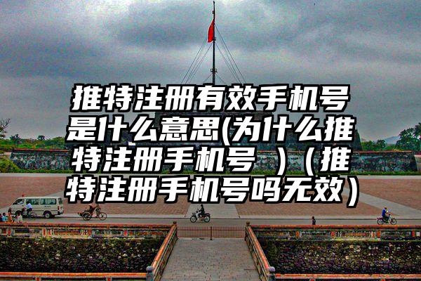 推特注册有效手机号是什么意思(为什么推特注册手机号 )（推特注册手机号吗无效）