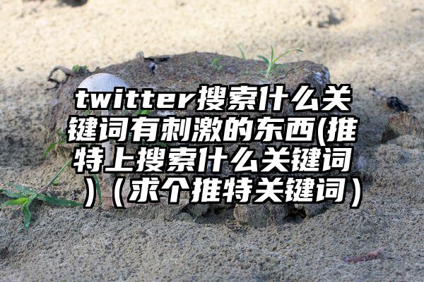 twitter搜索什么关键词有刺激的东西(推特上搜索什么关键词 )（求个推特关键词）