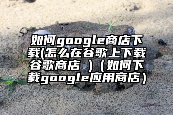 如何google商店下载(怎么在谷歌上下载谷歌商店 )（如何下载google应用商店）