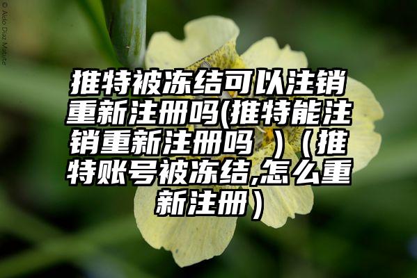 推特被冻结可以注销重新注册吗(推特能注销重新注册吗 )（推特账号被冻结,怎么重新注册）