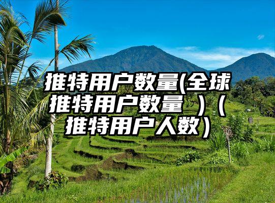 推特用户数量(全球推特用户数量 )（推特用户人数）
