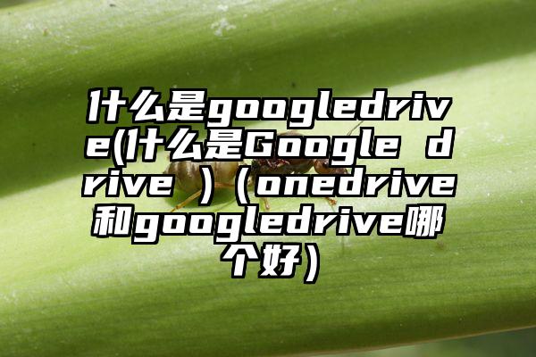 什么是googledrive(什么是Google drive )（onedrive和googledrive哪个好）