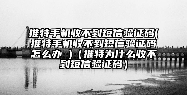 推特手机收不到短信验证码(推特手机收不到短信验证码怎么办 )（推特为什么收不到短信验证码）