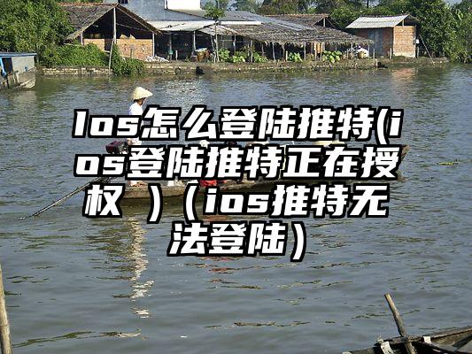 Ios怎么登陆推特(ios登陆推特正在授权 )（ios推特无法登陆）