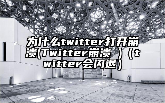 为什么twitter打开崩溃(Twitter崩溃 )（twitter会闪退）