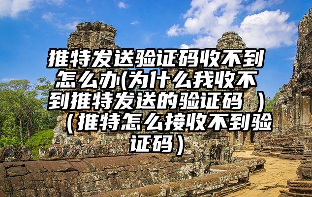 推特发送验证码收不到怎么办(为什么我收不到推特发送的验证码 )（推特怎么接收不到验证码）
