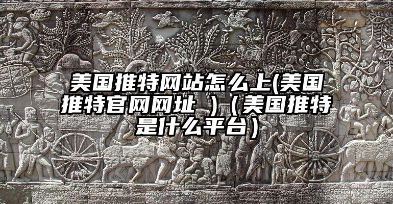 美国推特网站怎么上(美国推特官网网址 )（美国推特是什么平台）
