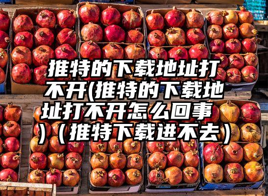 推特的下载地址打不开(推特的下载地址打不开怎么回事 )（推特下载进不去）