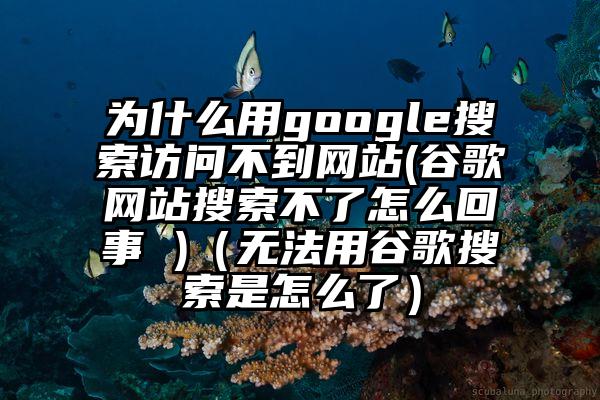 为什么用google搜索访问不到网站(谷歌网站搜索不了怎么回事 )（无法用谷歌搜索是怎么了）