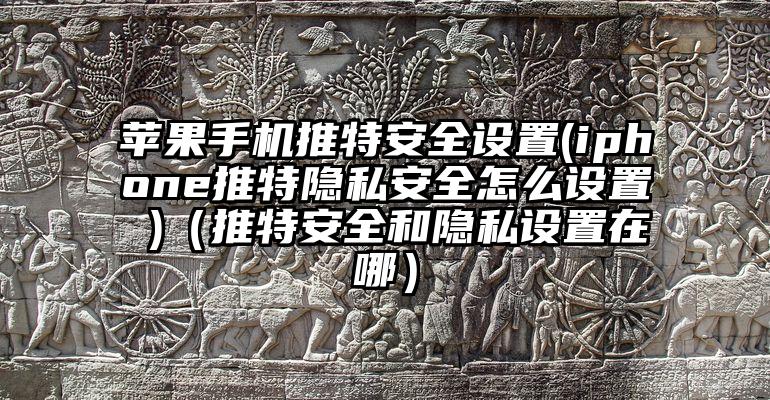 苹果手机推特安全设置(iphone推特隐私安全怎么设置 )（推特安全和隐私设置在哪）