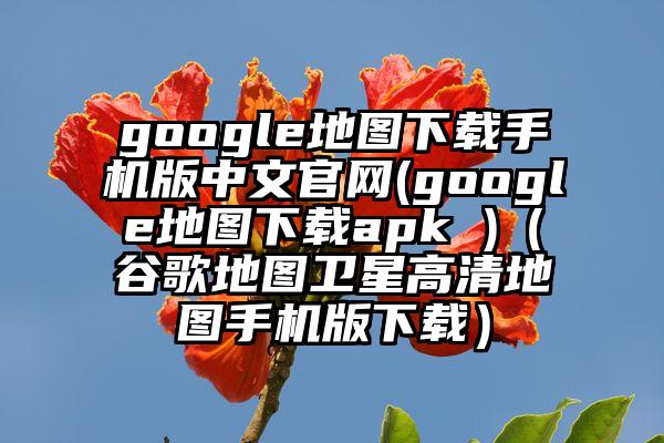 google地图下载手机版中文官网(google地图下载apk )（谷歌地图卫星高清地图手机版下载）