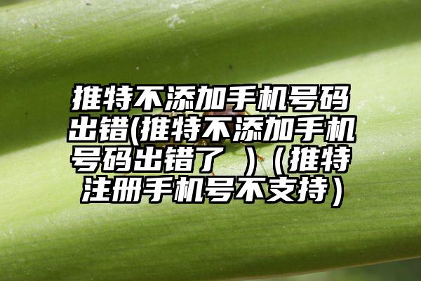 推特不添加手机号码出错(推特不添加手机号码出错了 )（推特注册手机号不支持）