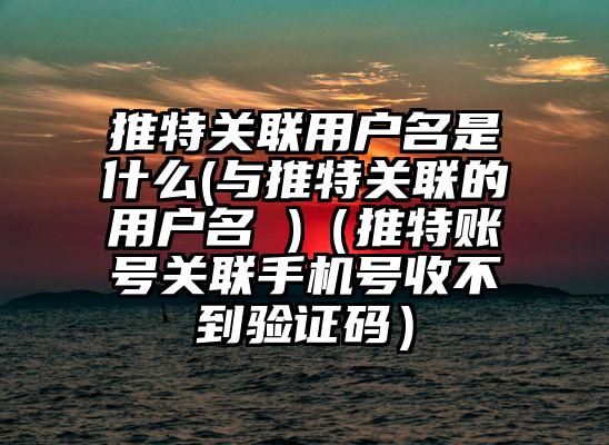 推特关联用户名是什么(与推特关联的用户名 )（推特账号关联手机号收不到验证码）