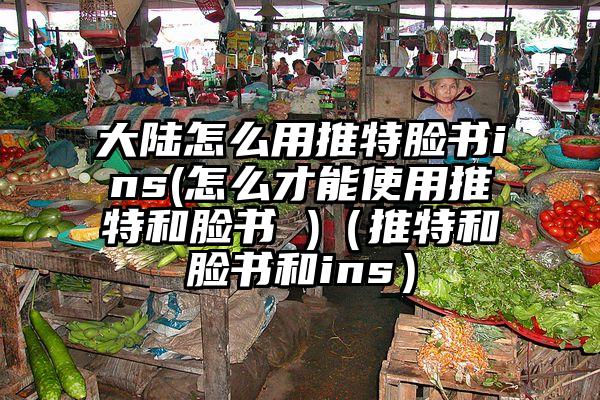 大陆怎么用推特脸书ins(怎么才能使用推特和脸书 )（推特和脸书和ins）