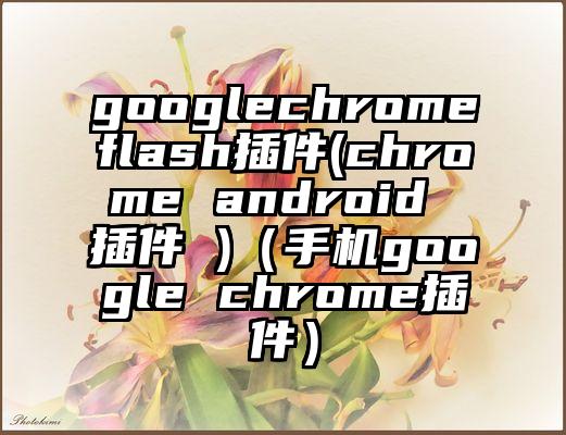 googlechromeflash插件(chrome android 插件 )（手机google chrome插件）