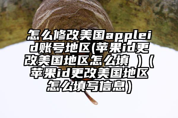 怎么修改美国appleid账号地区(苹果id更改美国地区怎么填 )（苹果id更改美国地区怎么填写信息）