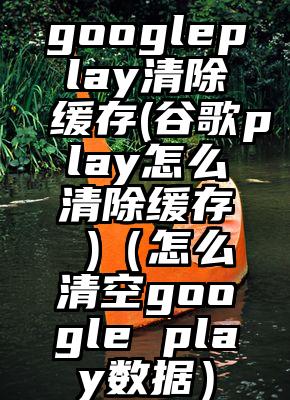 googleplay清除缓存(谷歌play怎么清除缓存 )（怎么清空google play数据）