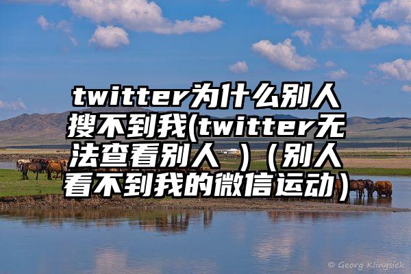 twitter为什么别人搜不到我(twitter无法查看别人 )（别人看不到我的微信运动）
