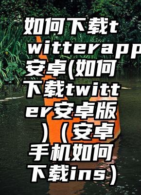 如何下载twitterapp安卓(如何下载twitter安卓版 )（安卓手机如何下载ins）