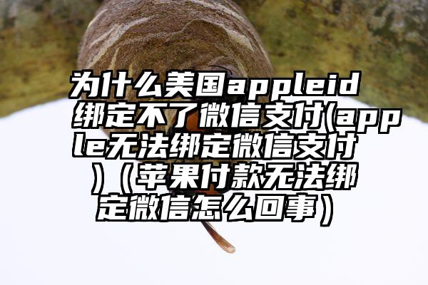 为什么美国appleid绑定不了微信支付(apple无法绑定微信支付 )（苹果付款无法绑定微信怎么回事）