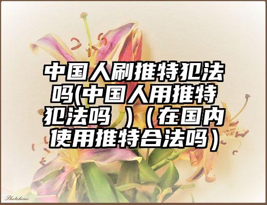 中国人刷推特犯法吗(中国人用推特犯法吗 )（在国内使用推特合法吗）