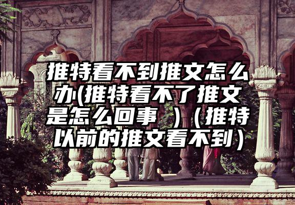 推特看不到推文怎么办(推特看不了推文是怎么回事 )（推特以前的推文看不到）