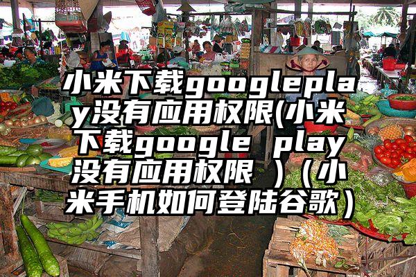 小米下载googleplay没有应用权限(小米下载google play没有应用权限 )（小米手机如何登陆谷歌）