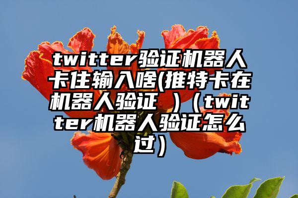 twitter验证机器人卡住输入啥(推特卡在机器人验证 )（twitter机器人验证怎么过）